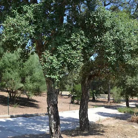 Maremuntagna Vecchio Guest house Porto-Vecchio (Corsica)